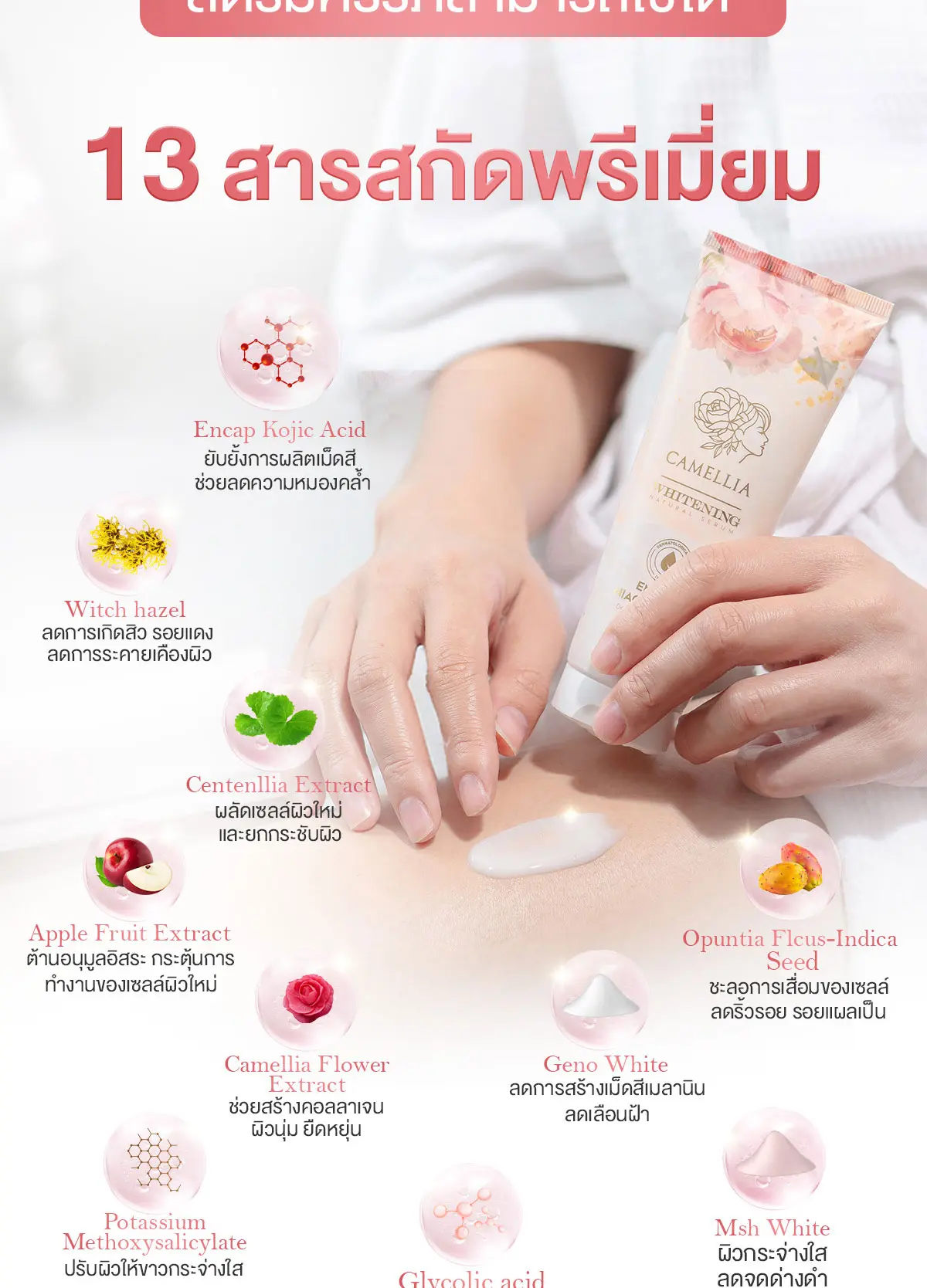 Camellia whitening cream skincare สารสกัดพรีเมี่ยม 13 ชนิด