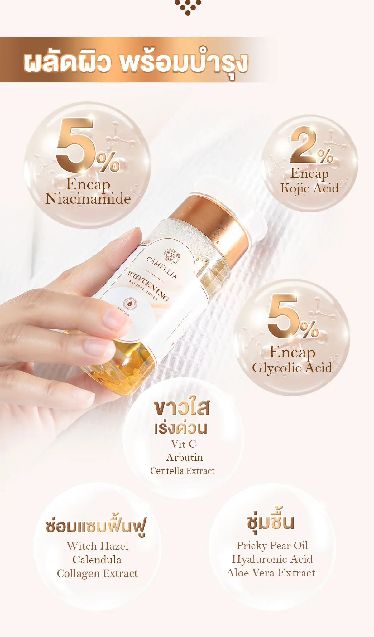 Camellia Underarm care serum ระงับกลิ่นกายยาวนาน