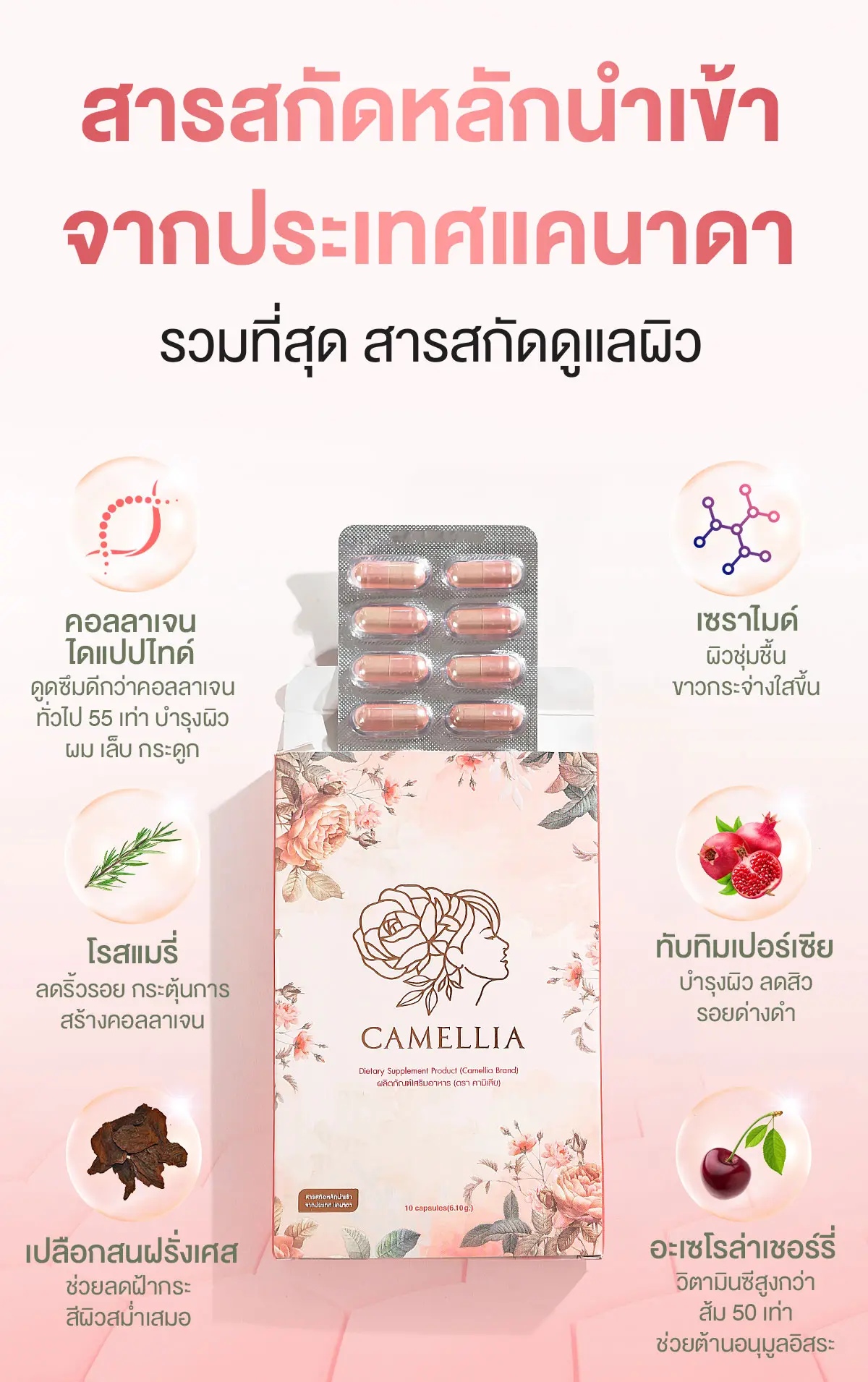 Camellia Perfect Fit อาหารเสริม สำหรับผู้หญิง สารสกัดจากแคนาดา