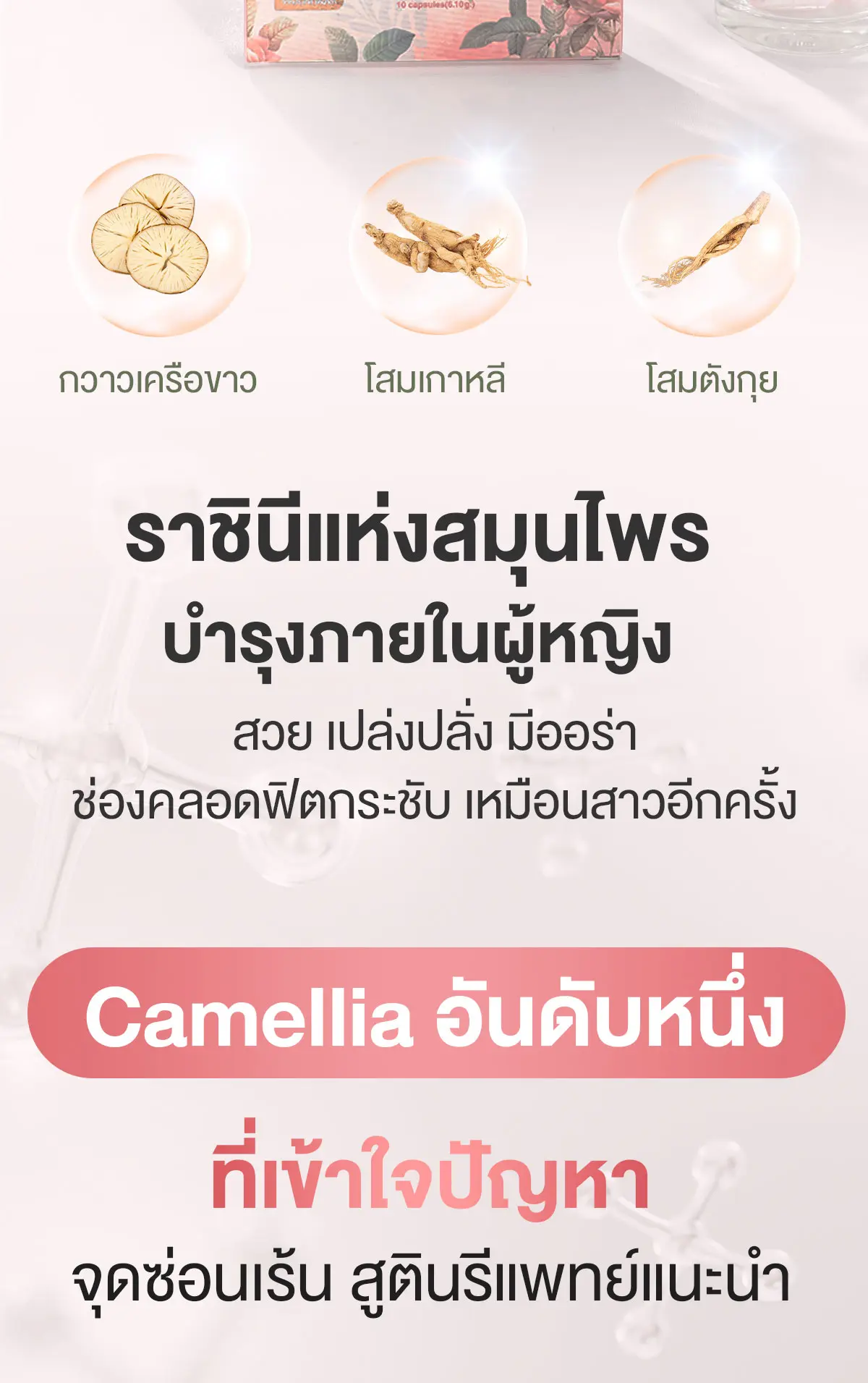 Camellia Perfect Fit อาหารเสริม สำหรับผู้หญิง ราชินีแห่งสมุนไพร