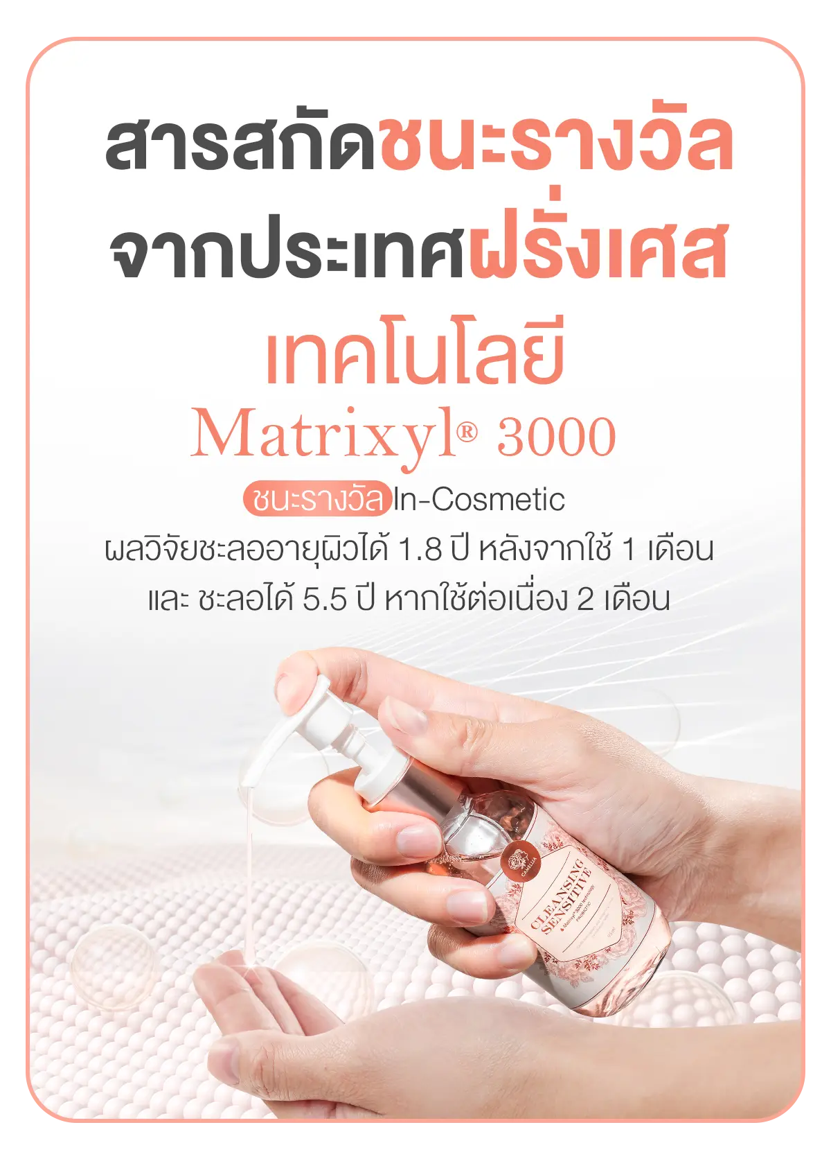 Camellia Cleansing Sensitive จุดซ่อนเร้น สารสกัดชนะรางวัลจากฝรั่งเศส