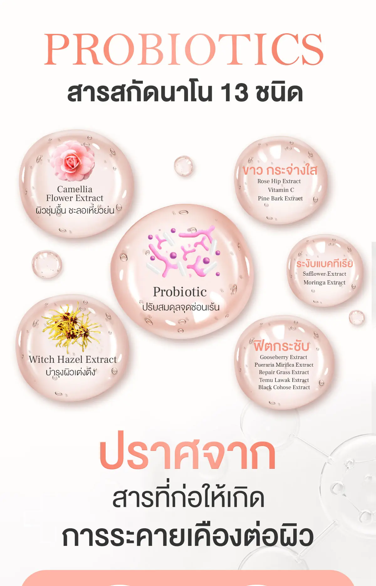 Camellia Cleansing Sensitive จุดซ่อนเร้น ปราศจากสารที่ก่อความระคายเคือง