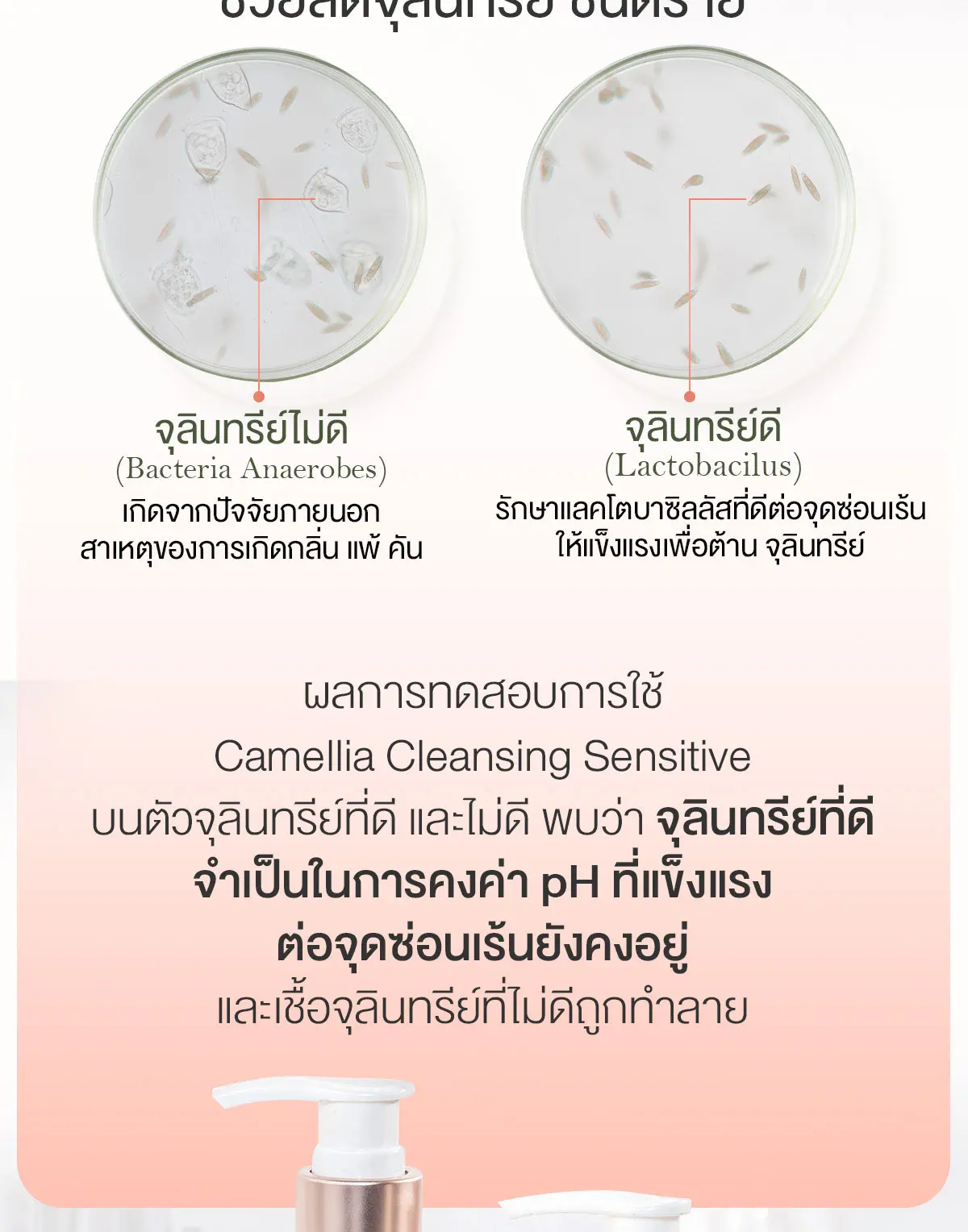 Camellia Cleansing Sensitive ไม่ทำลายจุลินทรีย์ที่ดี แต่ทำลายจุลินทรีย์ที่ไม่ดี