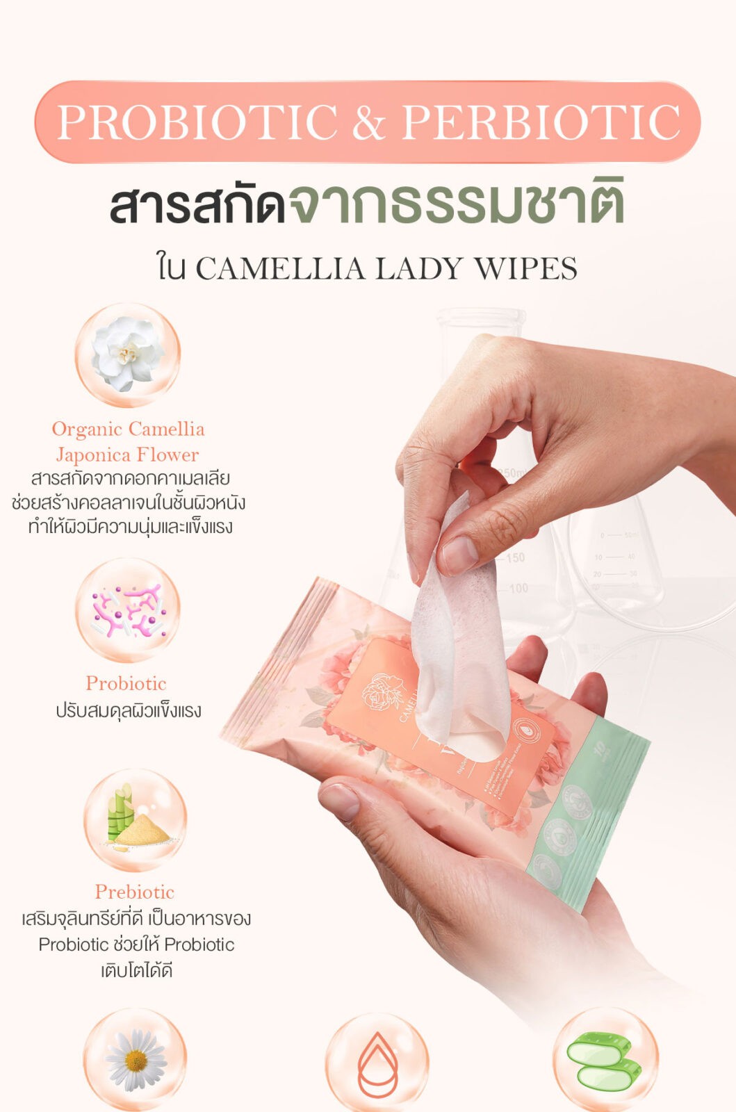 Camellia Lady Wipes ทิชชู่จุดซ่อนเร้น สารสกัดจากธรรมชาติ