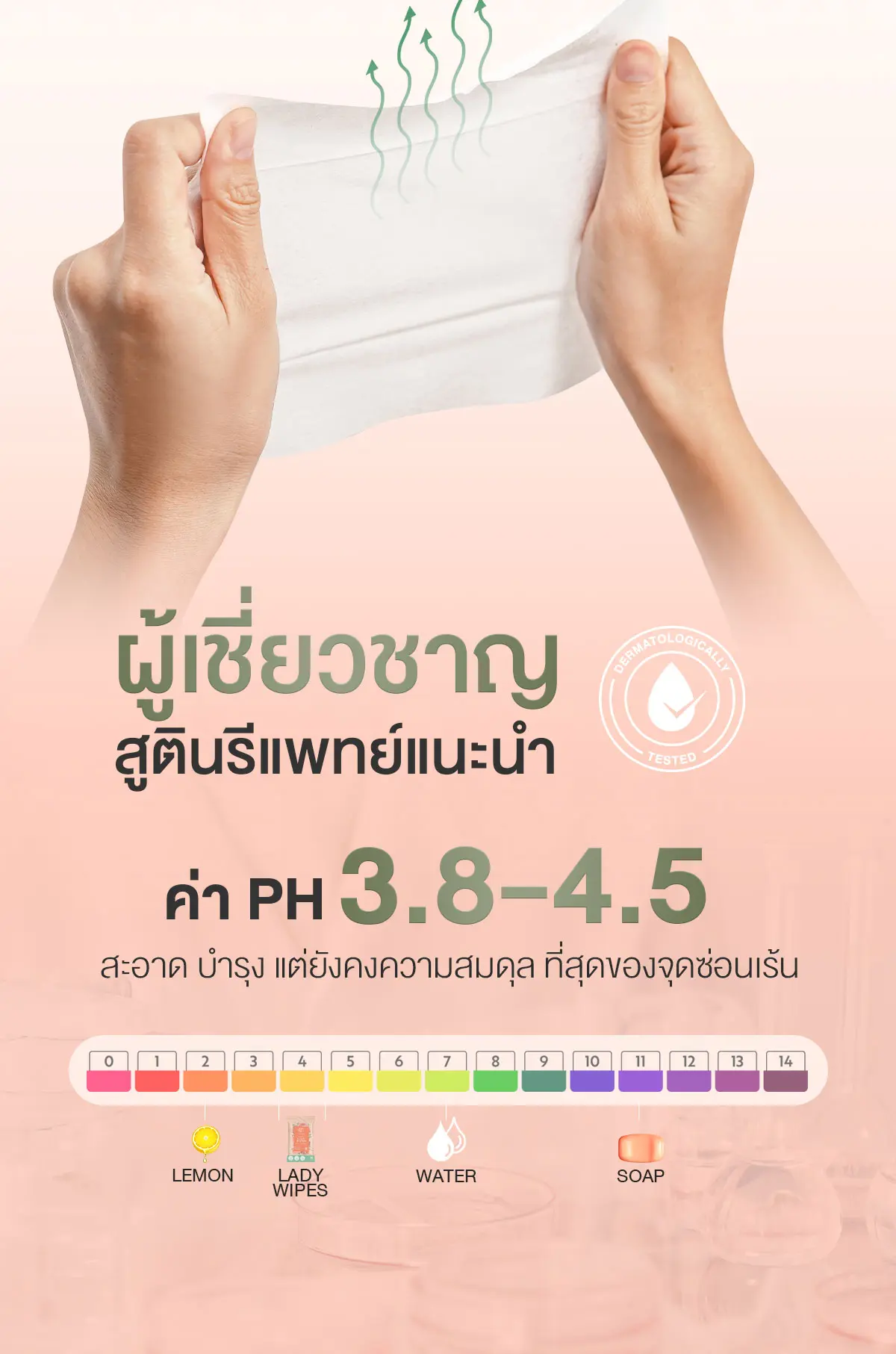 Camellia Lady Wipes ทิชชู่จุดซ่อนเร้น ปรับสภาพ ph ให้เหมาะสม