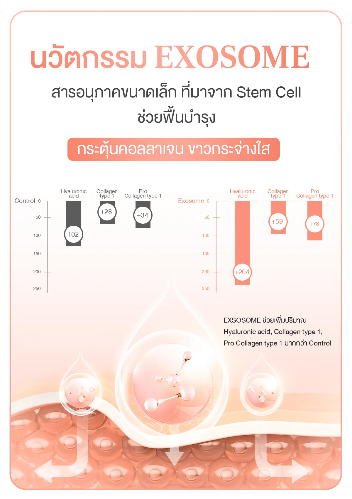 Camellia TIme Delay เซรั่มจุดซ่อนเร้น ช่วยฟื้นบำรุง