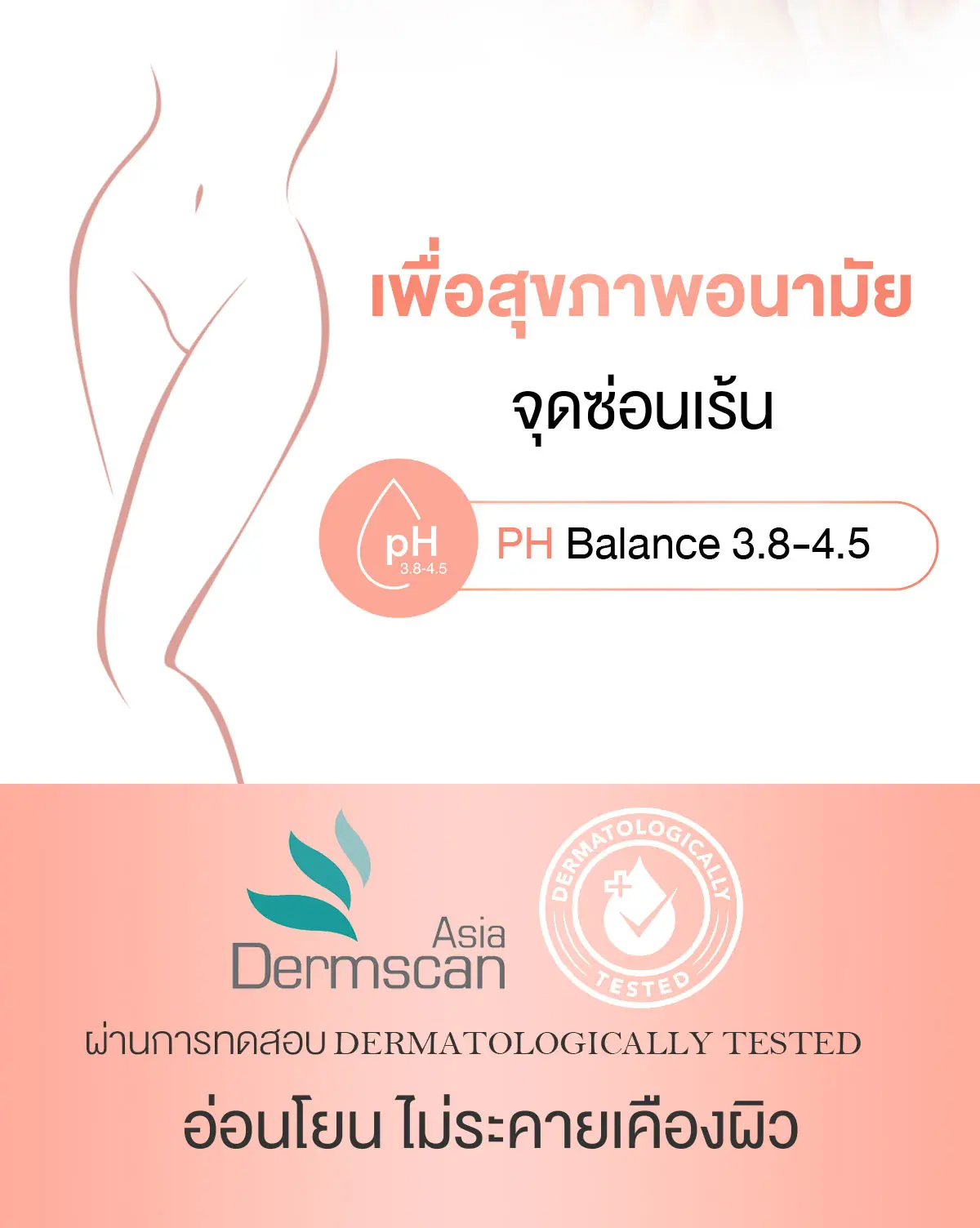 Camellia Lady Wipes ทิชชู่จุดซ่อนเร้น เพื่อสุขภาพอนามัยจุดซ่อนเร้น