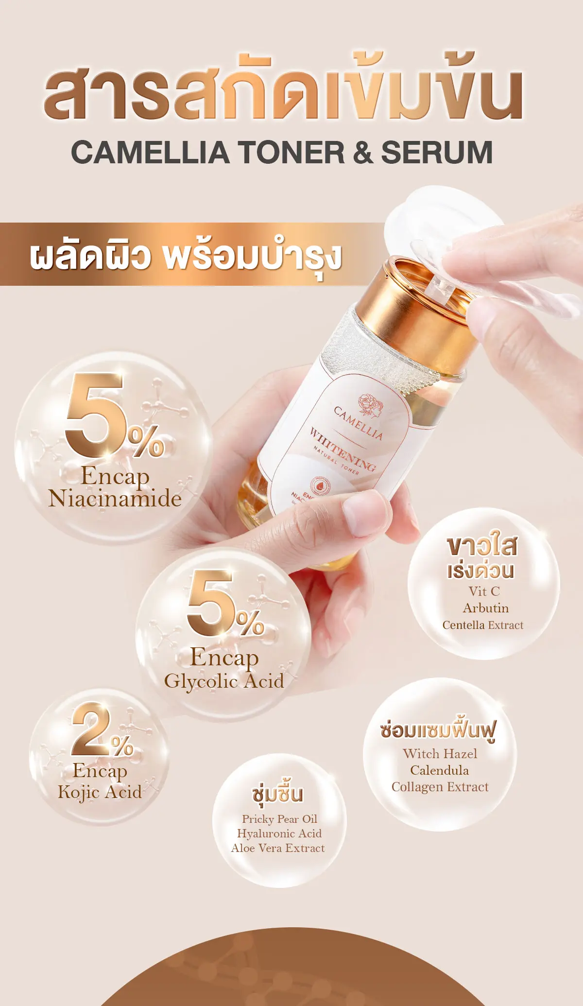 Camellia Whitening Toner พลัดเซลล์ผิว ผิวขาว